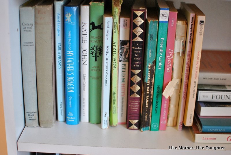 The importance of actual books on real shelves. ~ The LMLD Library Project
