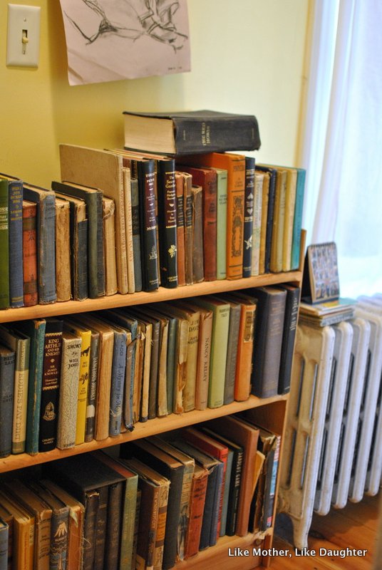 books on shelves-003