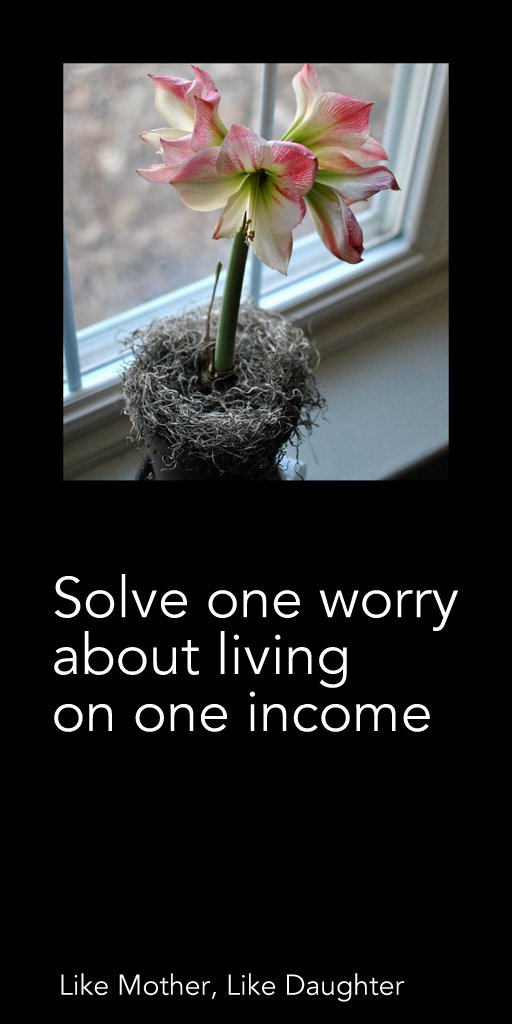 Solve one worry about living on one income ~ Like Mother, Like Daughter